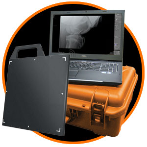 Veterinary Digital X Ray Equipment Dr Cr Portable X Ray Ultrasound