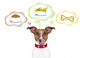 Is a Raw Food Diet Right For Your Dog?