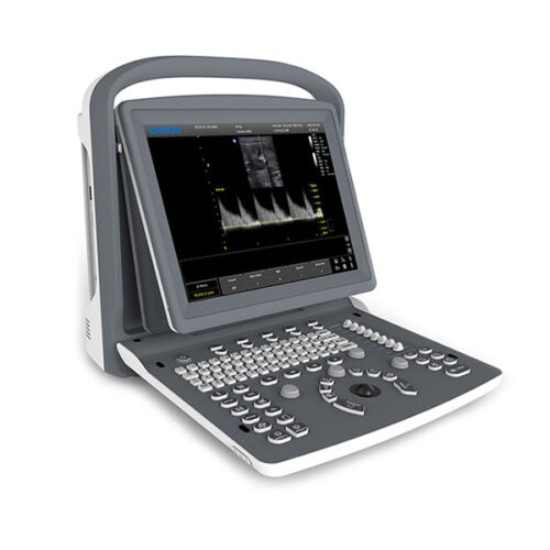 eco2vet ultrasound