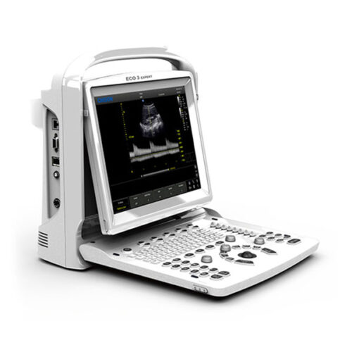eco3vet ultrasound