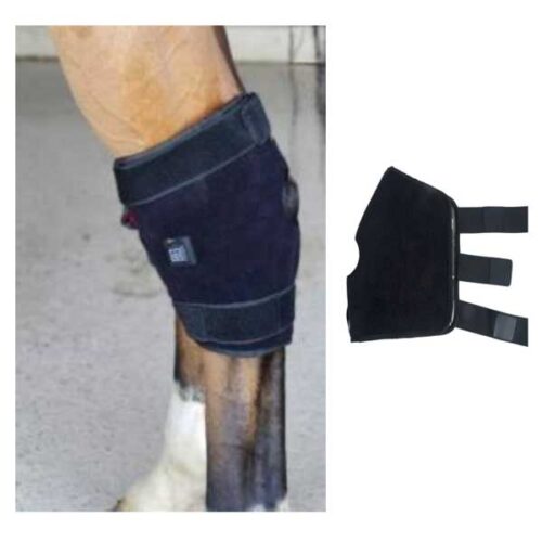 Equine Knee Joint Therapy Led Wrap Vet Xray