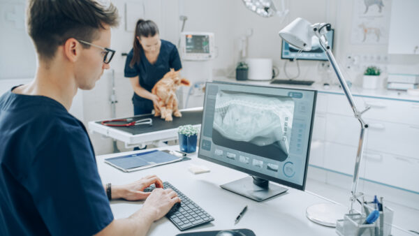The Role of Veterinary Technicians in Radiography: Best Practices and Safety Tips