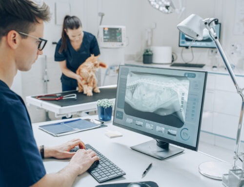 The Role of Veterinary Technicians in Radiography: Best Practices and Safety Tips