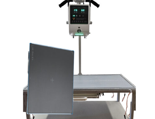 Benefits of Using a Mobile X-ray System in Veterinary Clinics