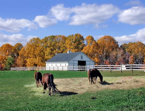 08-20-25 Veterinary E-News Magazine