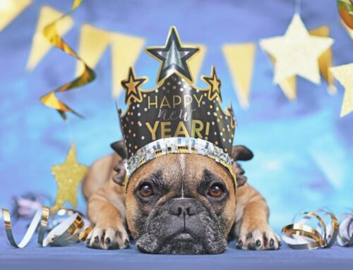 01-07-26 Veterinary E-News Magazine