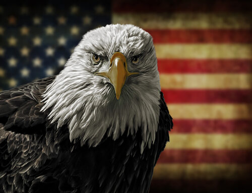 02-18-26 Veterinary E-News Magazine