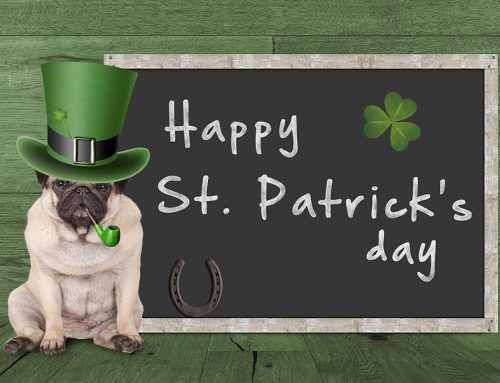 03-19-26 Veterinary E-News Magazine