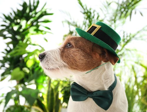 03-04-26 Veterinary E-News Magazine